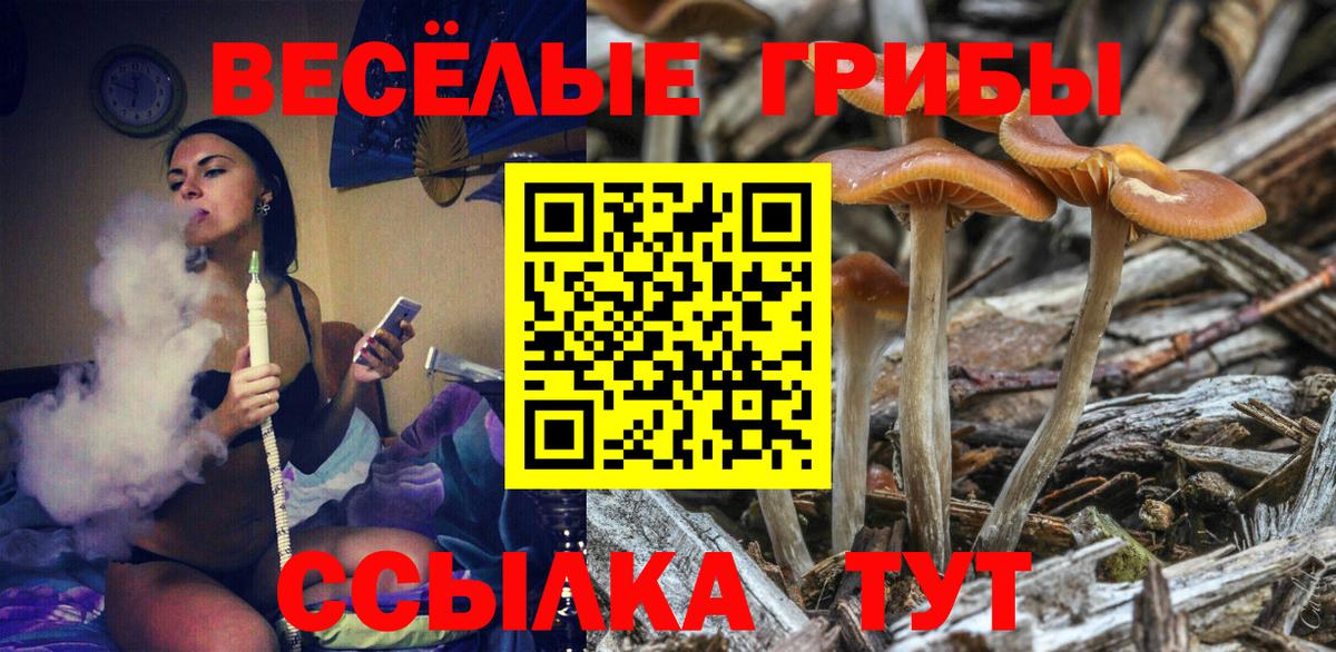 Полевской  Галлюциногенные грибы MAGIC MUSHROOMS  Галлюциногенные грибы ЛСД  Вход с VPN 