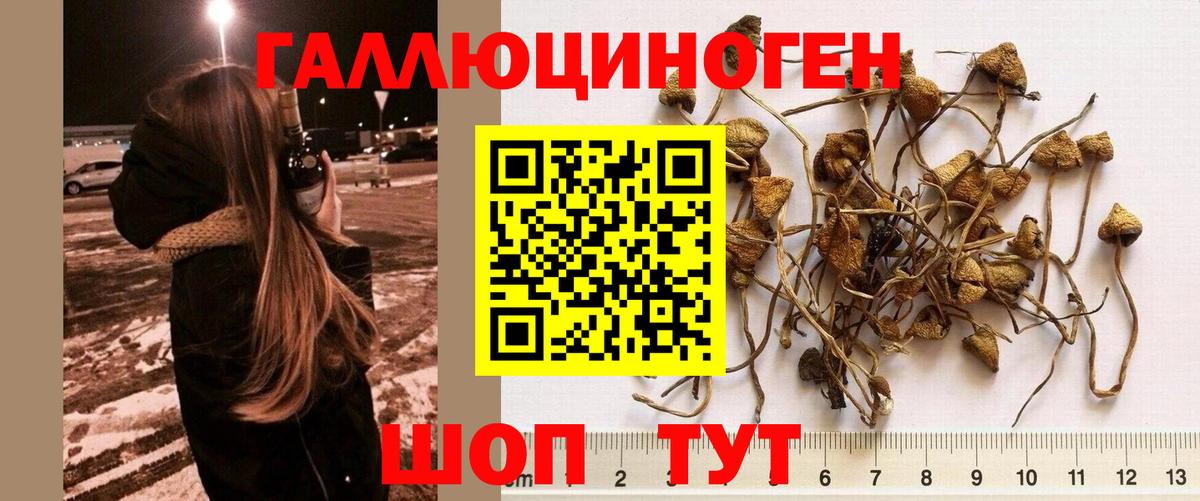 Галлюциногенные грибы Magic Shrooms Полевской